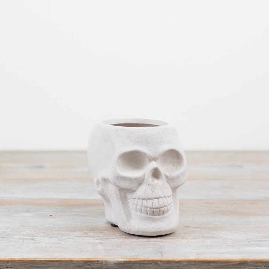 White Skull Planter Ceramic Skull Plant Pot Textured Gothic Halloween Indoor Home Décor 18cm Item #74836