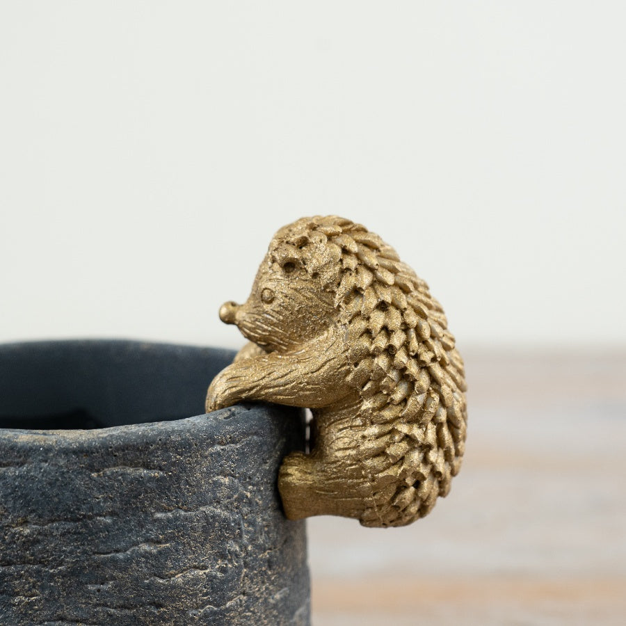 Cement Planter with Hedgehog Pot Hanger 11cm Cute Animal Plant Pot Succulent Holder
