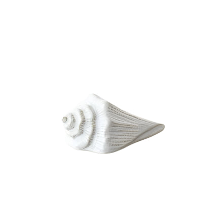 Sea Shell Ornament, 9.5cm  – Coastal Nautical Decoration – Decorative Shell Figurine for Shelf, Bathroom, or Tabletop Display