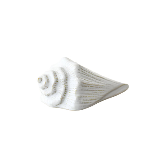 White Shell Ornament 14.4cm – Coastal Nautical Decoration – Decorative Shell Figurine for Shelf, Bathroom, or Tabletop Display