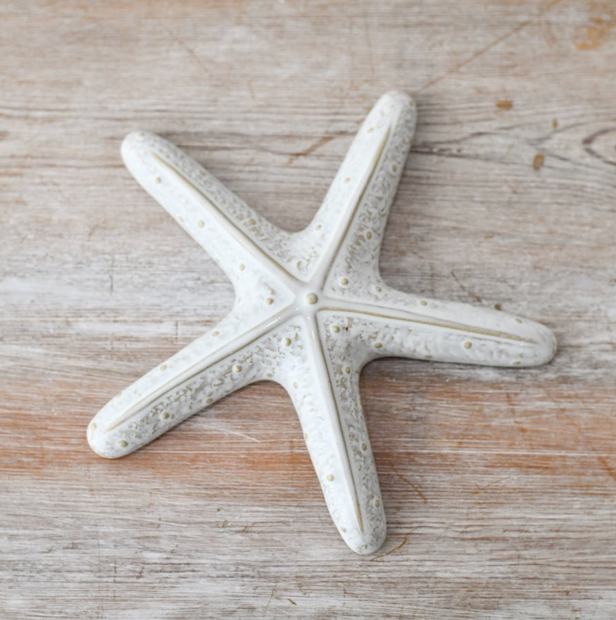 Starfish Ornament 16cm – Coastal Decorative Starfish, Beach Style Home Decor Accent for Nautical Interior Styling