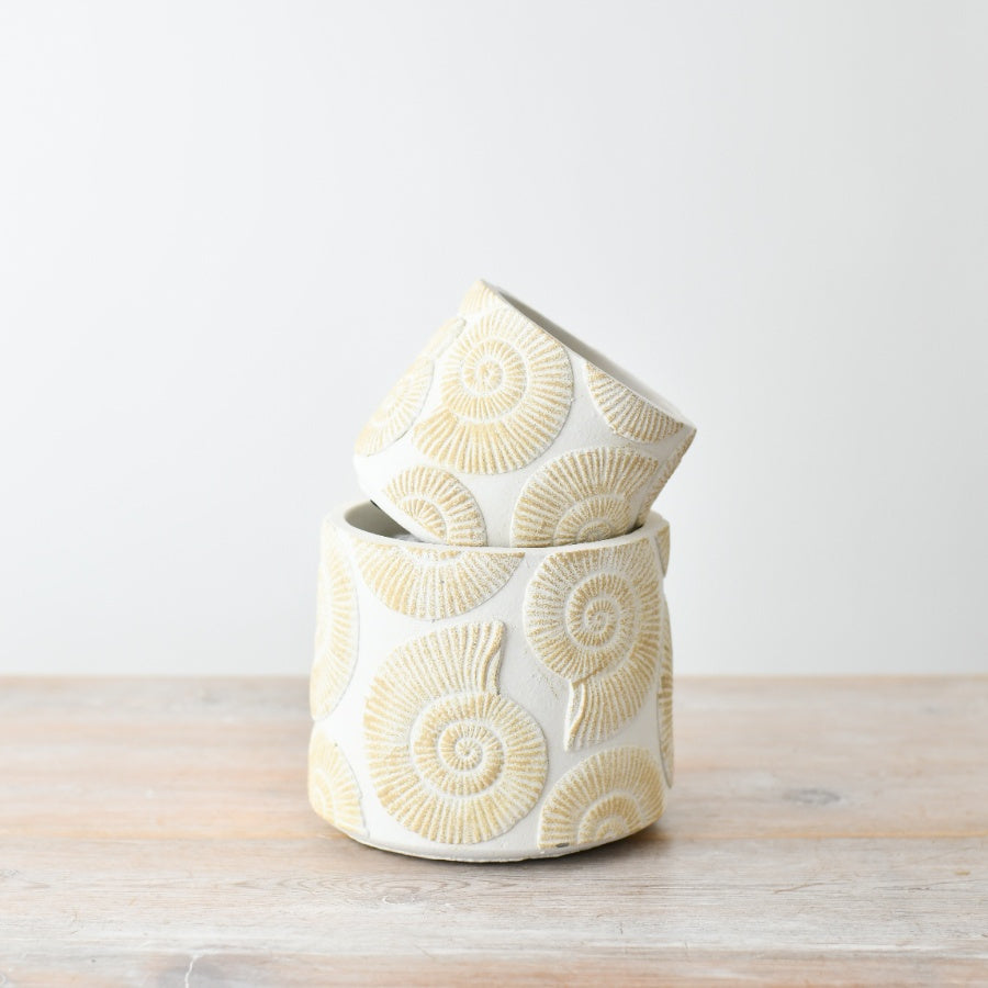Sea Shell Patterned Planter 15cm – Coastal Ceramic Plant Pot with Textured Glazed Finish – Beach-Inspired Indoor Decor for Houseplants, Herbs & Ocean-Themed Rooms