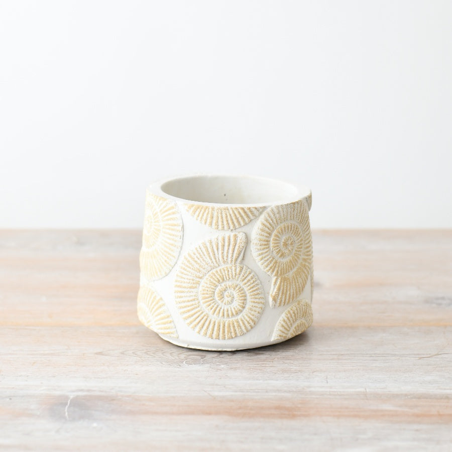 Sea Shell Patterned Planter 15cm – Coastal Ceramic Plant Pot with Textured Glazed Finish – Beach-Inspired Indoor Decor for Houseplants, Herbs & Ocean-Themed Rooms