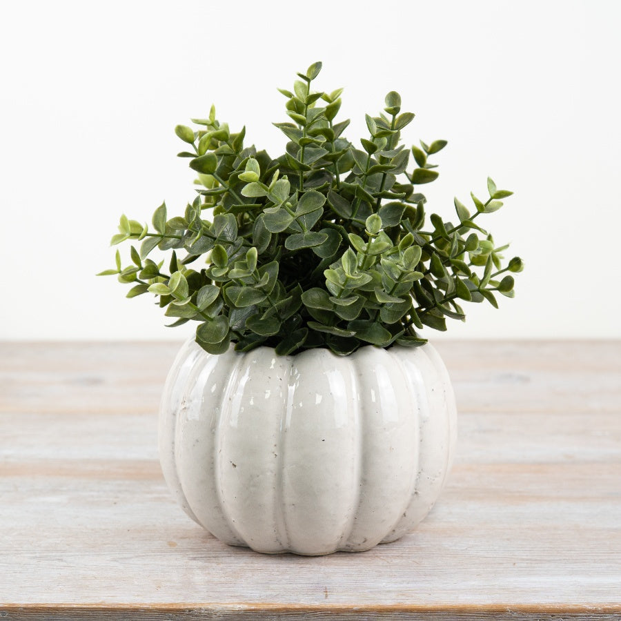 Ceramic Pumpkin Planter – 16cm Autumn Harvest Pot for Indoor Plants & Seasonal Décor