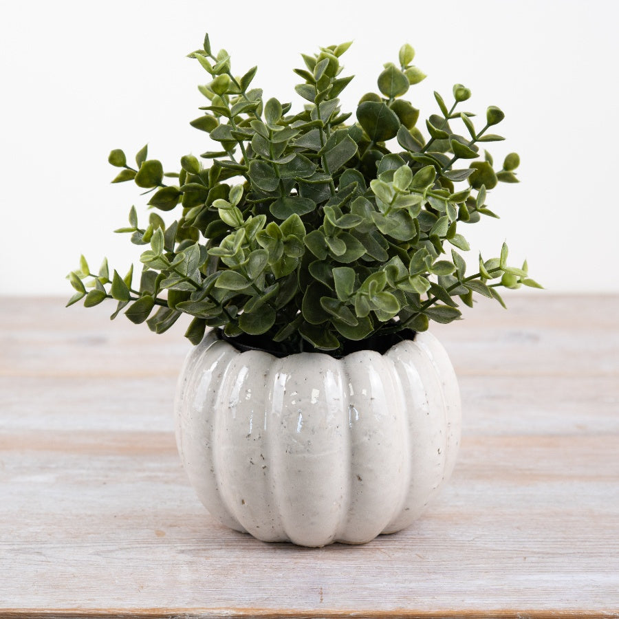 Ceramic Pumpkin Planter – 14cm Autumn Harvest Pot for Indoor Plants & Seasonal Décor