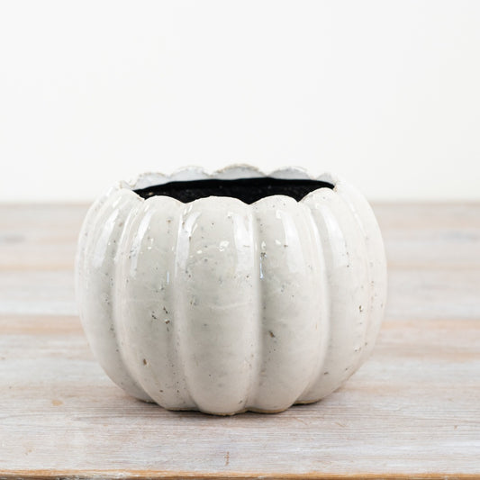 Ceramic Pumpkin Planter – 14cm Autumn Harvest Pot for Indoor Plants & Seasonal Décor