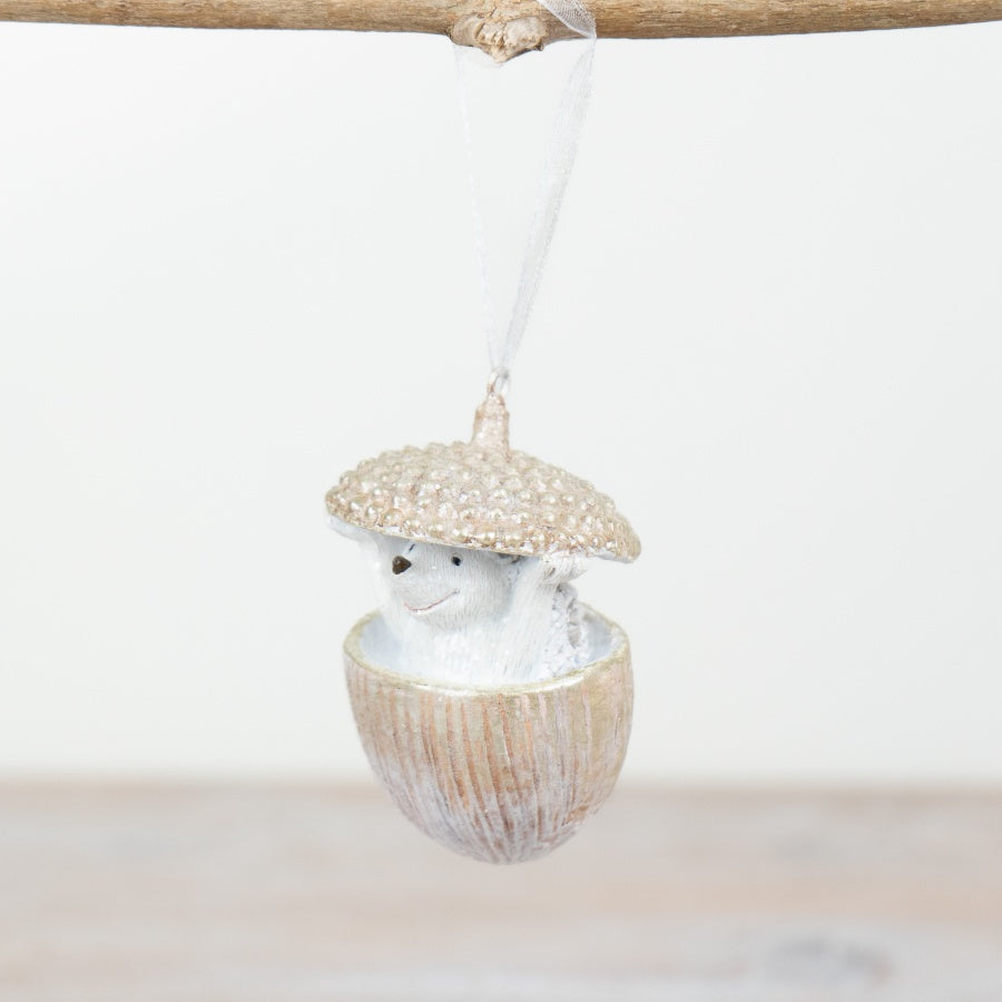 Hedgehog in Acorn, 7.5cm