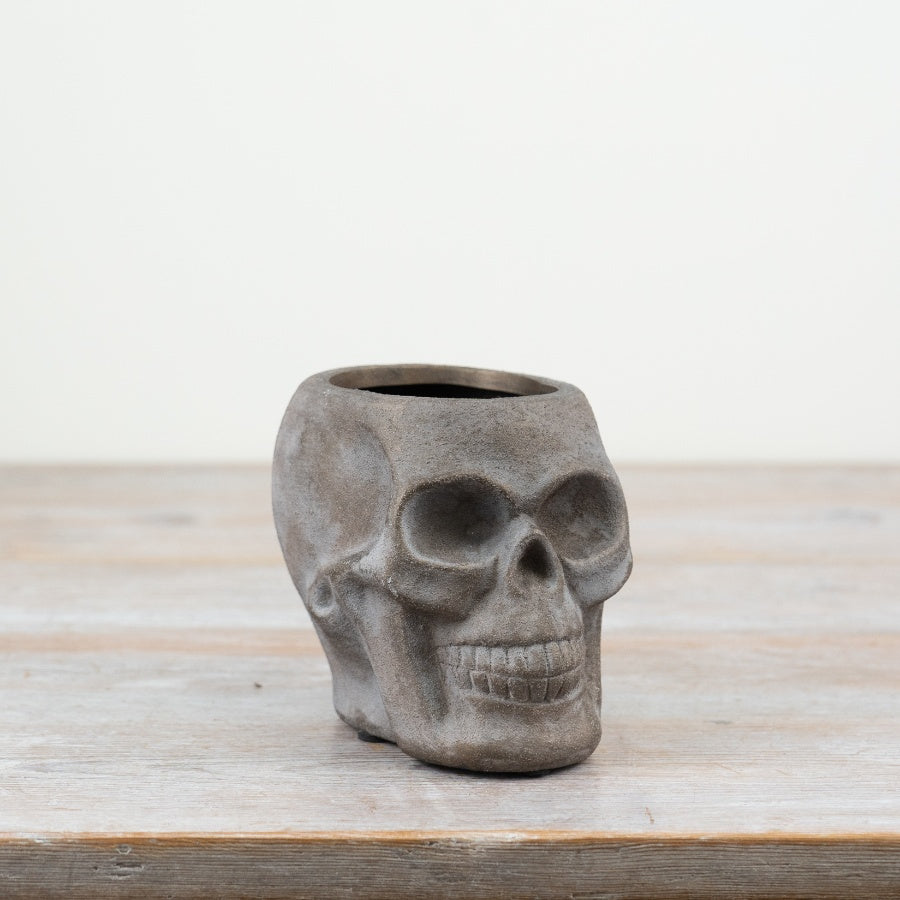 Grey Skull Planter 14.5cm