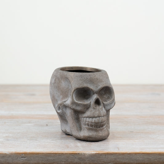 Grey Skull Planter 14.5cm
