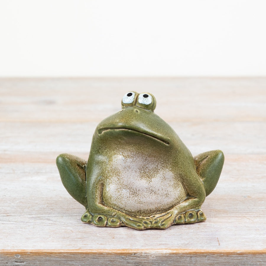 Green Frog Decoration 14.9cm – Quirky Home & Garden Decorative Ornament