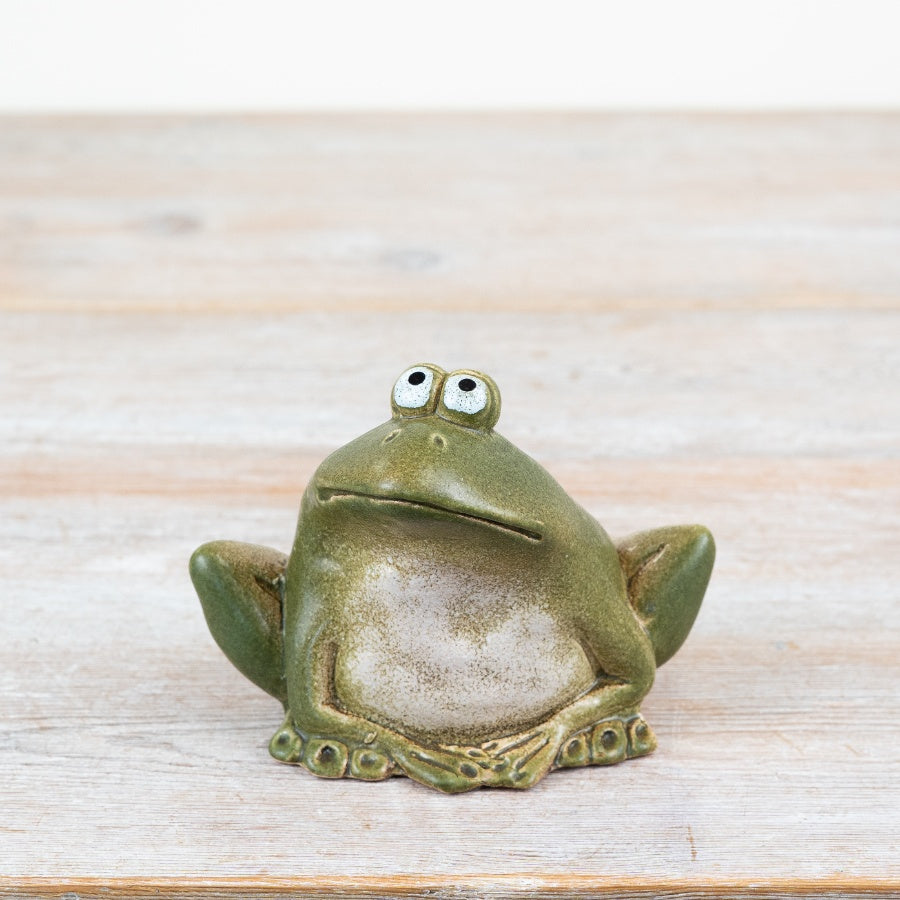 Green Frog Decoration 14.9cm – Quirky Home & Garden Decorative Ornament