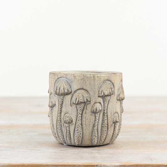 Toadstool Planter 10.5cm – Rustic Stone Mushroom Plant Pot, Indoor Herb & Succulent Holder for Woodland Home Decor