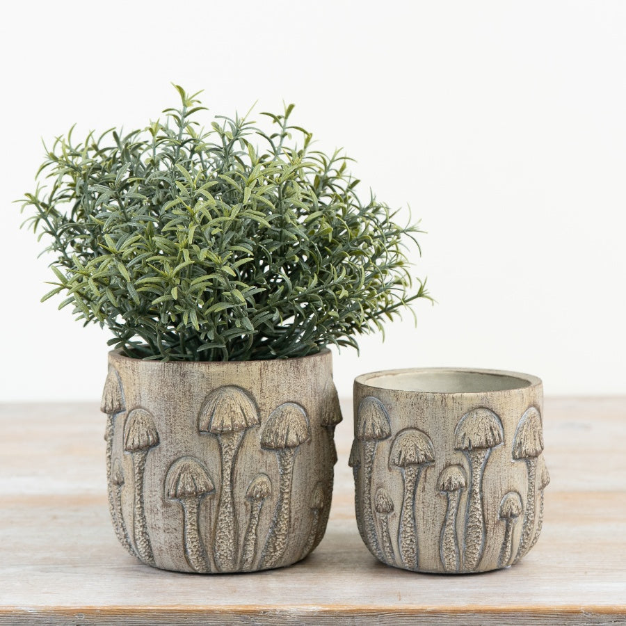 Toadstool Planter 10.5cm – Rustic Stone Mushroom Plant Pot, Indoor Herb & Succulent Holder for Woodland Home Decor