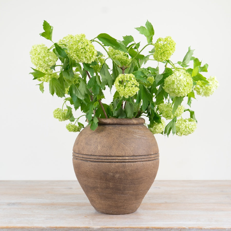 Sable Vase – 27cm Rustic Textured Brown Ceramic Pot, Handcrafted Decorative Planter