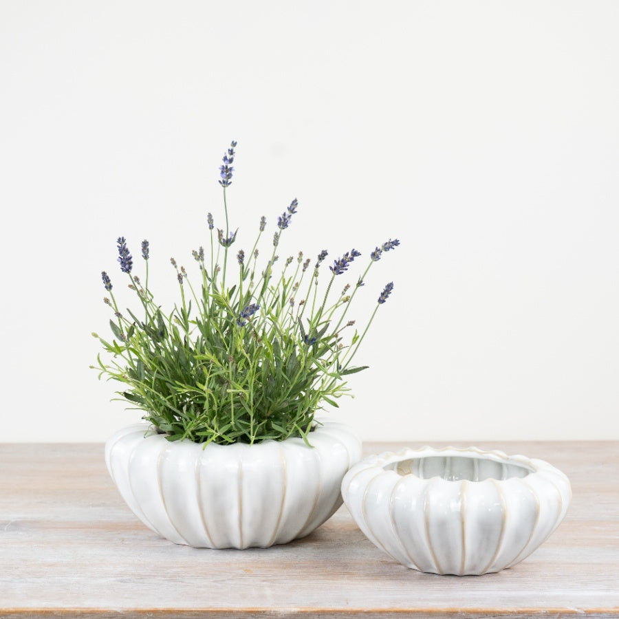Mika White Glossy Pot 25cm – Modern Decorative Planter with Raw Edge Finish for Home Décor