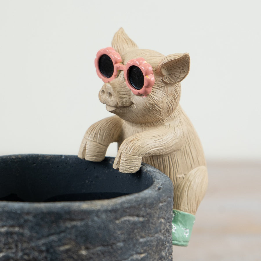 Pig Pot Hanger with Sunglasses 9cm – Mini Resin Planter Decor, Cute Animal Plant Accessory for Indoor & Garden Styling