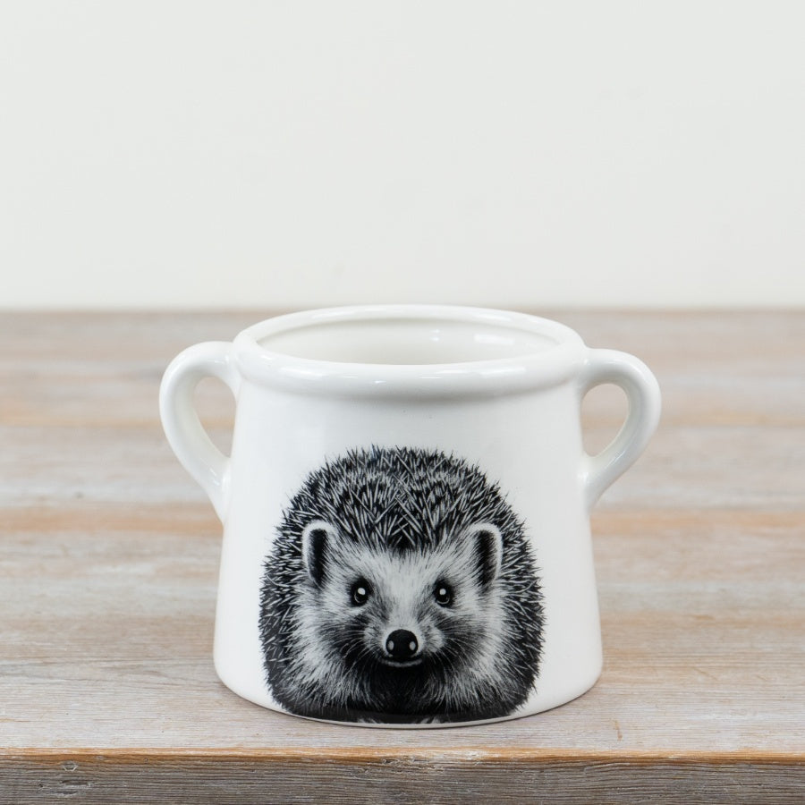 Item # 78084 This beautiful Hedgehog design pot adds a touch of charm and character to any home, making it a must-have for any plant lover.   Sold in multiples of 6, priced individually   Size: 15cm x 11.8cm x 10.3cm