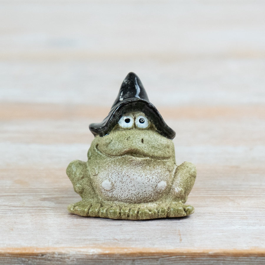 Little Lookers Wizard Frog, 6.5cm