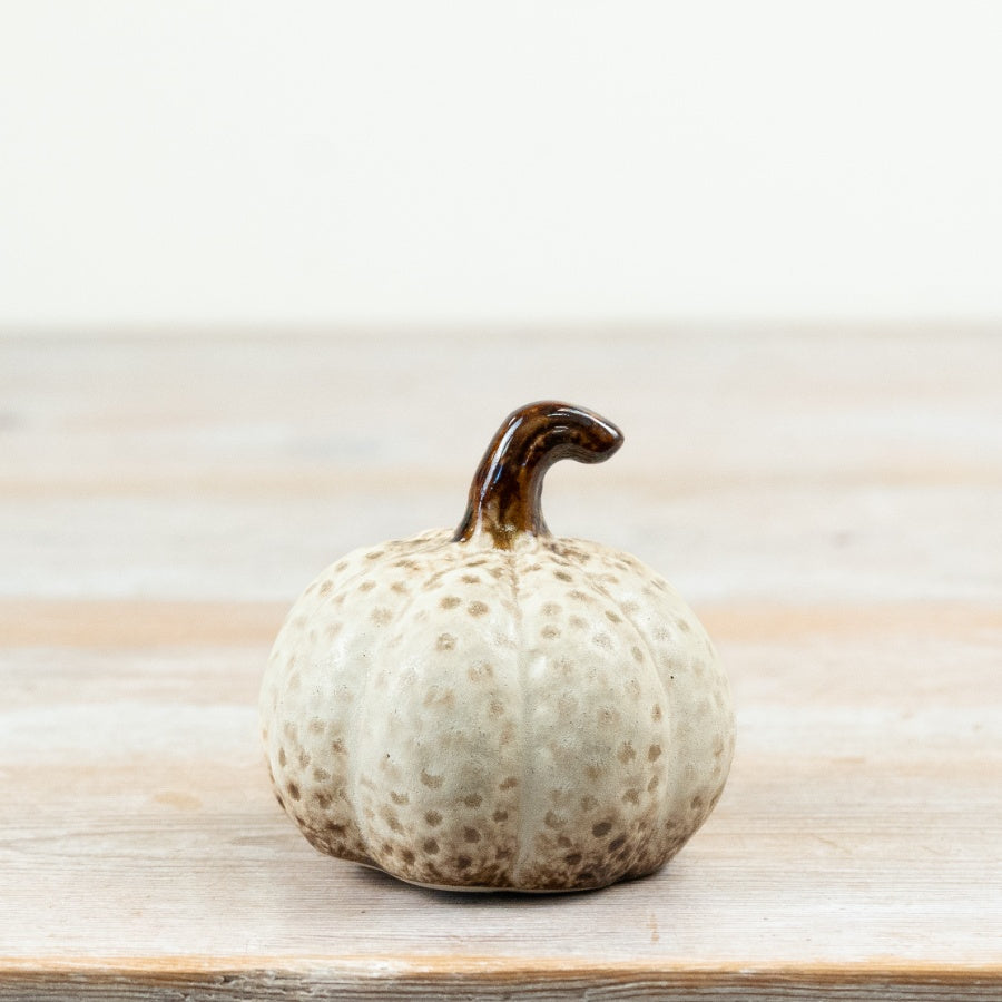 Cream Speckled Pumpkin, 7.5cm