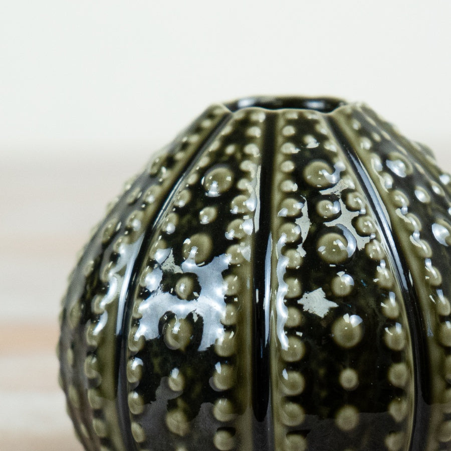 Sea Urchin Dark Green Vase Coastal Decorative Flower Vase Textured Ocean Inspired Home Décor 11.5cm