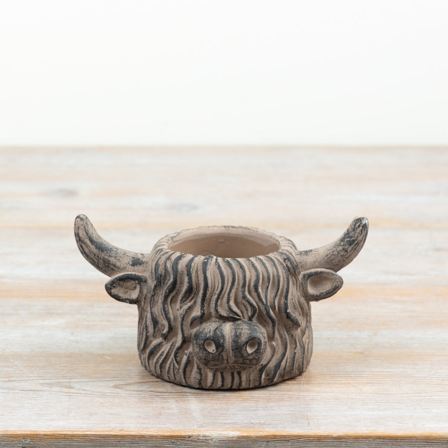 Highland Cow Plant Pot Cement Highland Cow Planter Rustic Animal Plant Pot Country Home Décor 17cm Item #83175