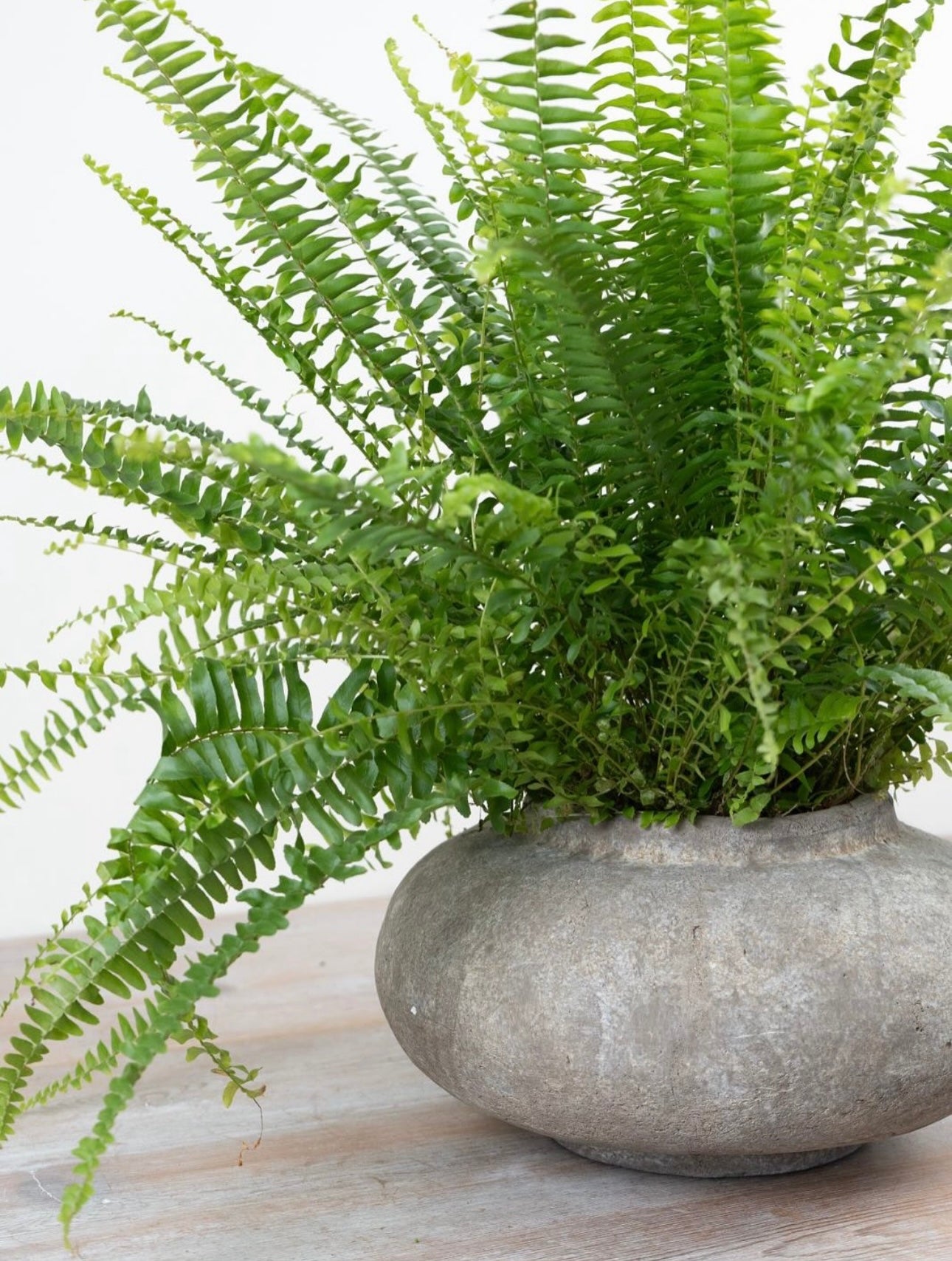 Tall Ceramic Vase 27cm – Textured Neutral Decorative for Modern, Rustic or Minimalist Home Décor – Slim Perry for Hallway, Mantel or Dining Table Display