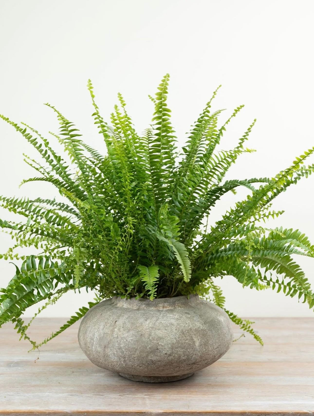 Tall Ceramic Vase 27cm – Textured Neutral Decorative for Modern, Rustic or Minimalist Home Décor – Slim Perry for Hallway, Mantel or Dining Table Display