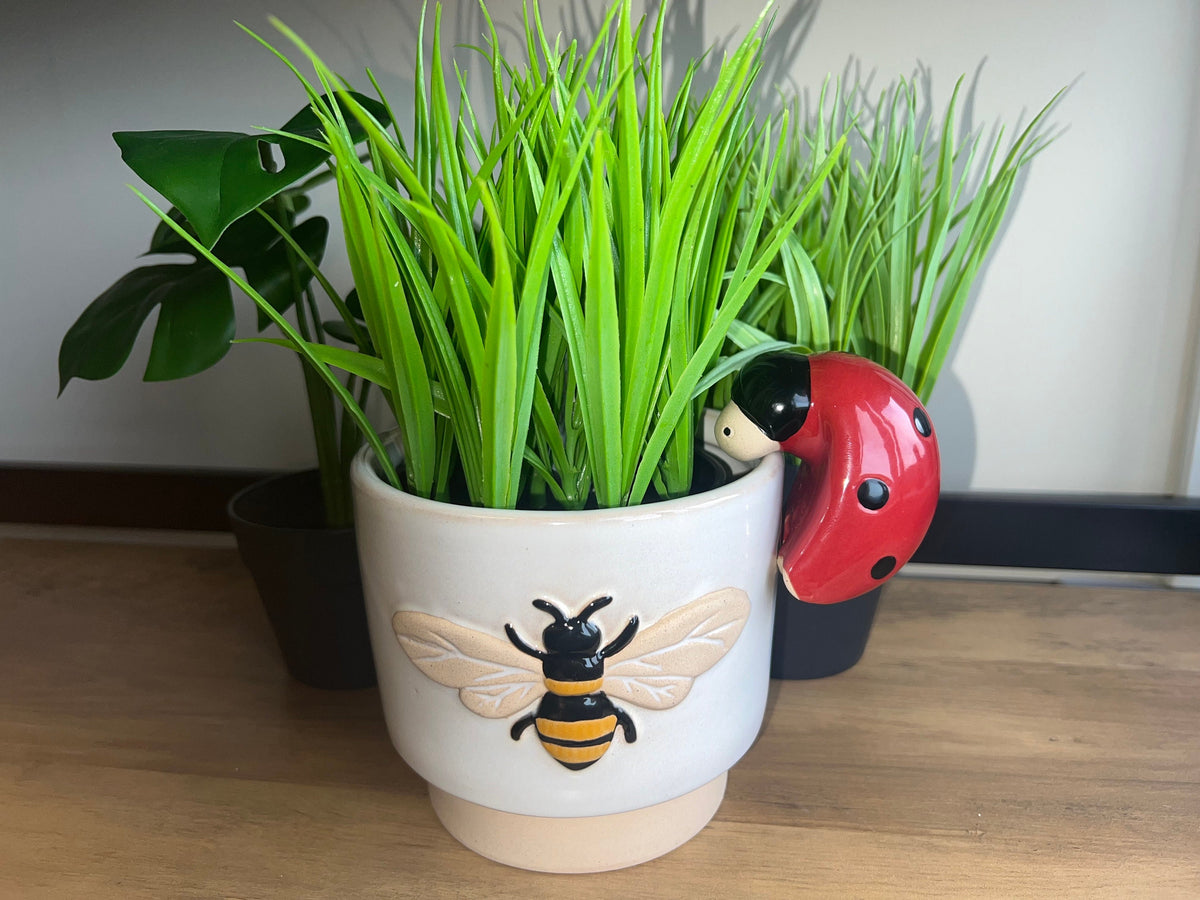 11.5cm Bee Stoneware Planter - Charming Garden Decor Accent for Nature Enthusiasts